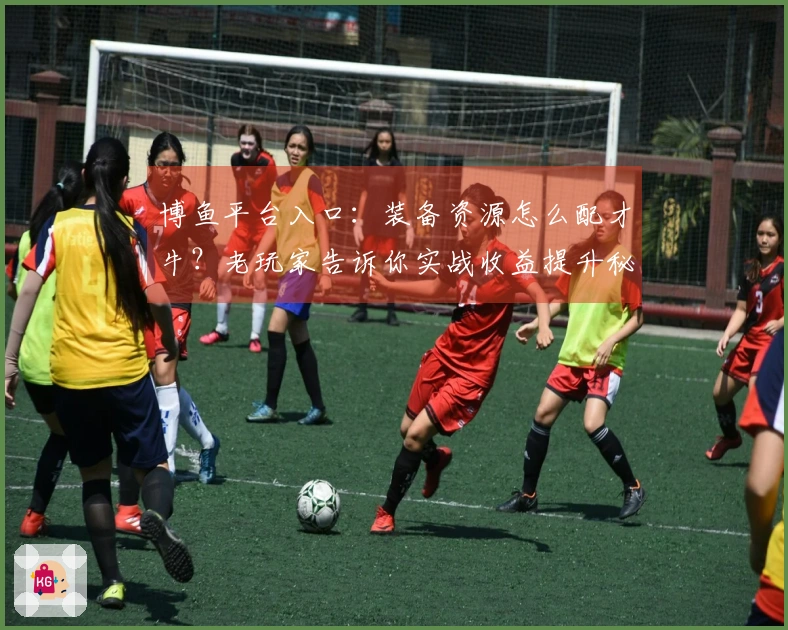 博鱼平台入口：装备资源怎么配才牛？老玩家告诉你实战收益提升秘诀