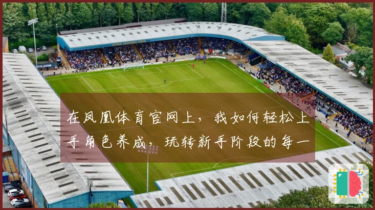 在凤凰体育官网上，我如何轻松上手角色养成，玩转新手阶段的每一步？